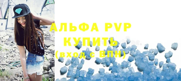 дмт Бородино