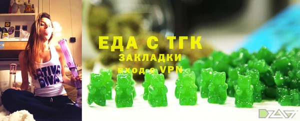 дмт Бородино