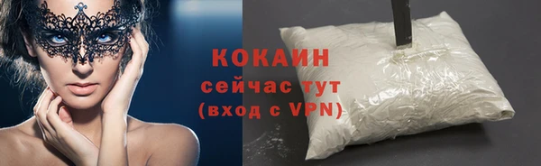 соль ск Богородицк