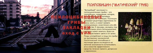 соль ск Богородицк