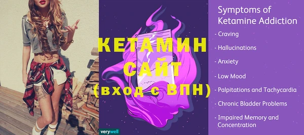 дмт Бородино