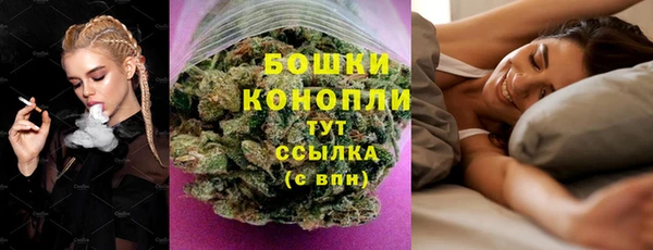 дмт Бородино