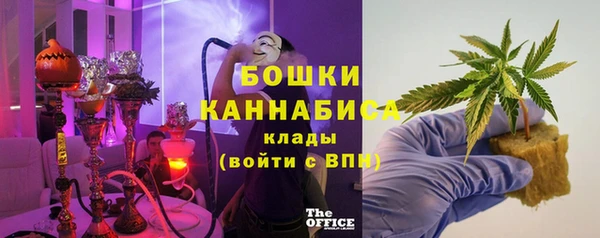 дмт Бородино