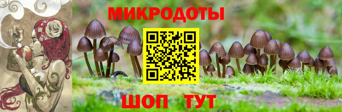 Галлюциногенные грибы Magic Shrooms  Вход с VPN  Свободный  Псилоцибиновые грибы Psilocybine cubensis 